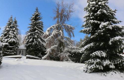 Blockhaus 2 - Foto 33