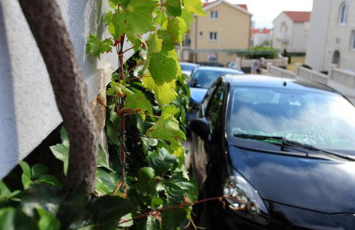 Milic Apartments - Foto 23