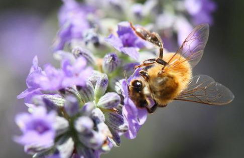 Agriturismo Casa Aurora - Foto 76