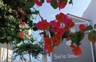 Sofia Beach Apartments - Foto 40