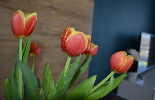 Apartament Justynka - Foto 9