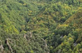 Ca la Pauleta - Foto 66