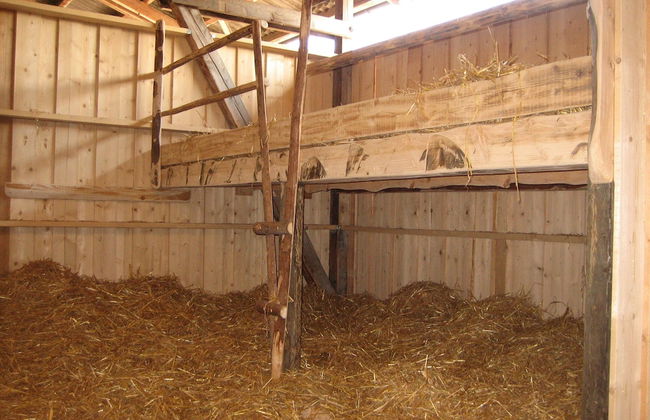 Steigmatt Bauernhof - Erlebnis - Foto 13