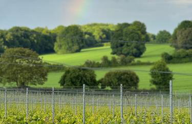 Walled Garden Cottage by Vineyard - Foto 19