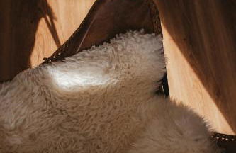 Schwarzwald Loft Panoramablick Menzenschwand - Foto 16