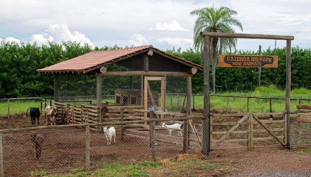 Ingresso do Bio Park com guia - Foto 5, Fazenda dos mini animais no Bio Park