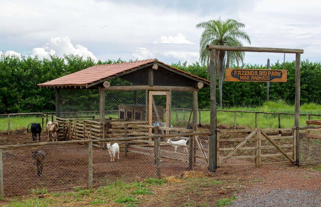 Ingresso do Bio Park com guia - Foto 5