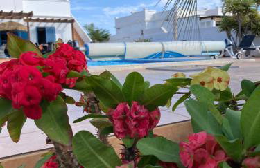 "Our Soleada" Villa cosy and flowery, heated pool - Foto 7