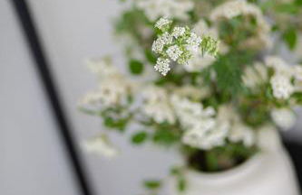 Luxus-Ferienwohnung DS11 - Foto 14