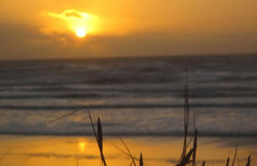 Villa les Agapanthes avec piscine et SPA chauffée dans votre appartement - Foto 35