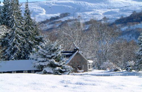 Ardgarry Farm - Photo 35