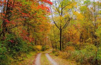 The 312 House - A Boho Retreat- Hocking Hills - Foto 18