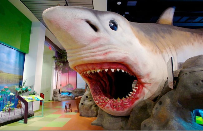 Beachfront Escape Pool Stunning Beach Views - Foto 76