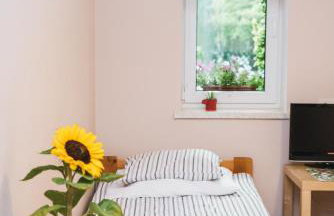 Agroturystyka Pod Modrzewiami - Foto 25