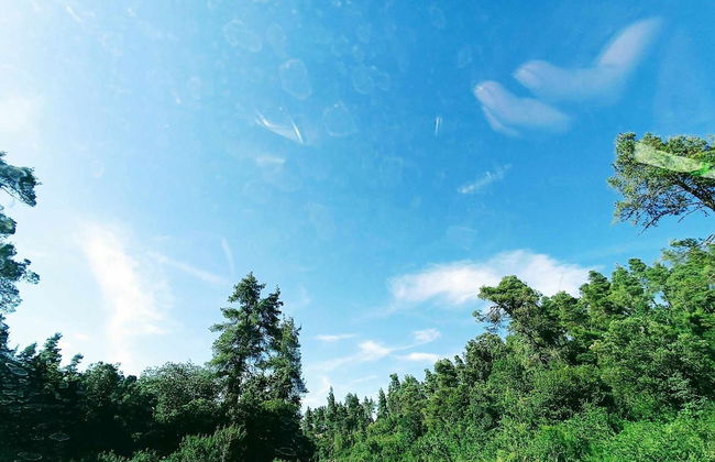 Villa Marilou Fourka - Foto 32