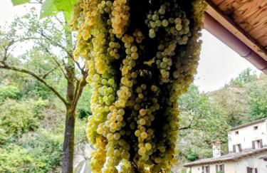 Al Moin Beds & Homes - Foto 19