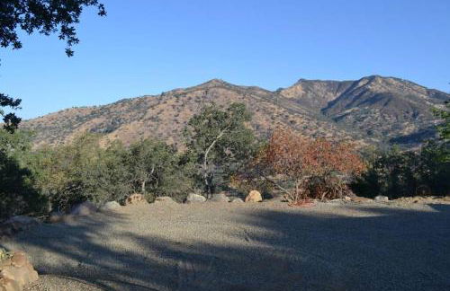 In The Oaks - Foto 8