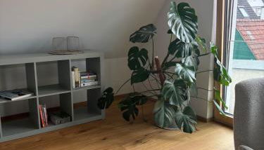 Cozy stay in Eckental - Ferienwohnung zum Wohlfühlen - Foto 5