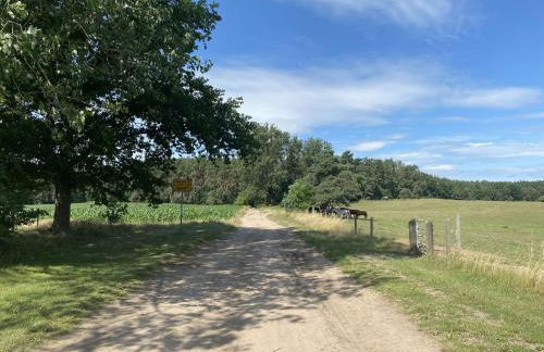 Ferienhaus in Neu Poserin for 5 Personen - Foto 40
