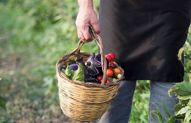 Neroli Bio Relais - Foto 34