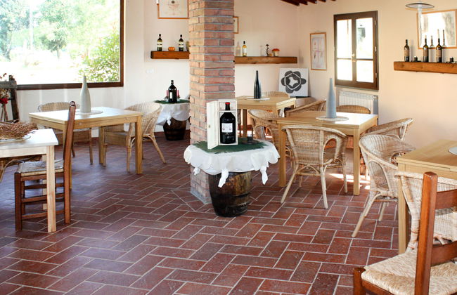 Fattoria di Romignano - Foto 19