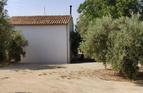 Alojamiento Encarnación - Foto 21