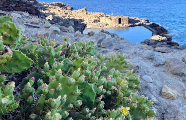 Apartamento Los Picachos, Poris de Abona - Foto 28