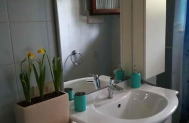 Prato Verde - Girasole - Foto 54