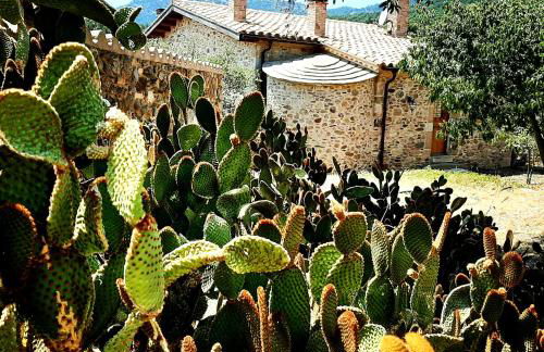 Can Santalo - Foto 29