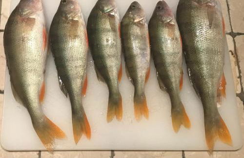 Live la Dolce Vita! Your Lake Garda deluxe getaway - Foto 10