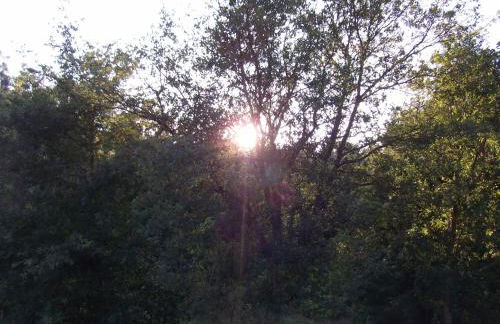 Quinta dos Caibrais - Foto 61