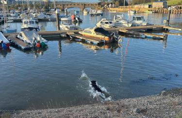 Nutshell Cottage - Foto 33