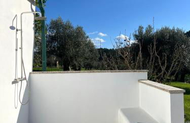 Quinta das Amoras - Au coeur des oliviers - Foto 57