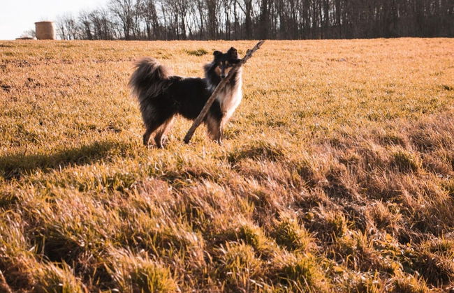 Luxury Holiday Home in Marchin With Wellness - Foto 36