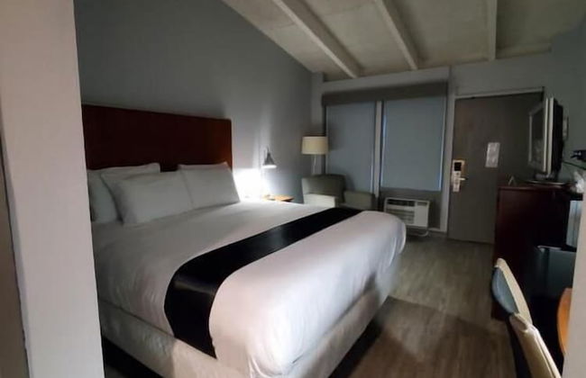 Happy Bay - Photo 15