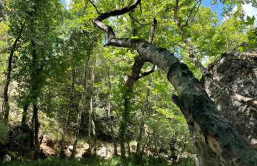 Theta Guesthouse - Photo 32