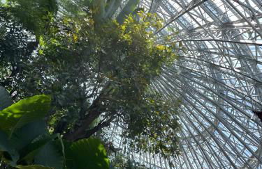 Gîte Du Centre - Foto 25