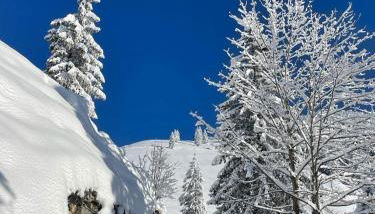 Ferienwohnung Moosegger - Foto 2