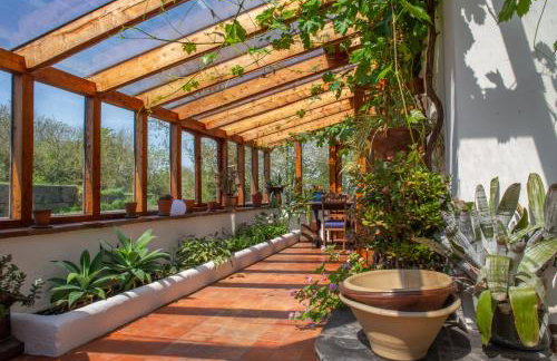 The Barn - Brynberian, Eglwyswrw - Foto 69