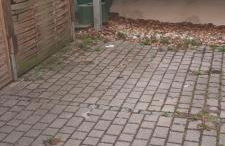 Exklusive Ferienwohnung Agnes in zentraler Bestlage von Zeitz! Vollausgestattet, freie Parkplätze, Magenta-TV, Highspeed WLAN, Fahrstuhl - Foto 32