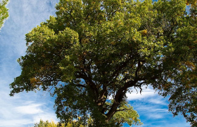 Le Roghete - Foto 37