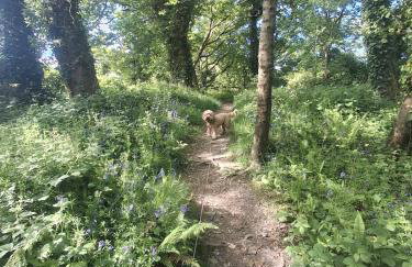 'Falcons Rest' - Foto 6