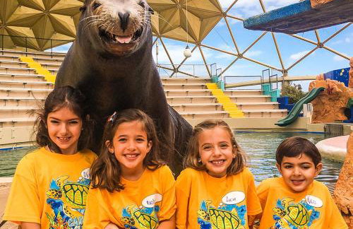 Gorgeous Beachy Chic Condo in Key Biscayne - Foto 32