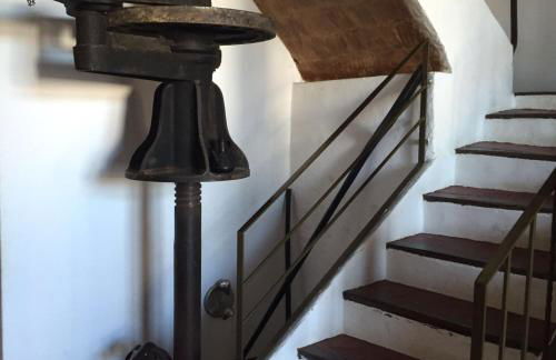 El Terral - Photo 11