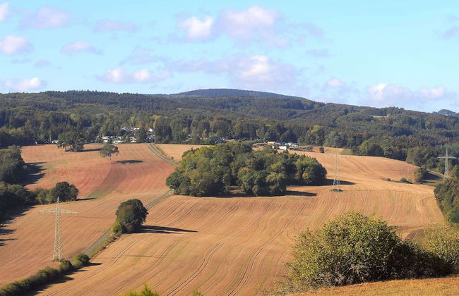 Chalet in Gerolstein Forest Holiday Park - Foto 24