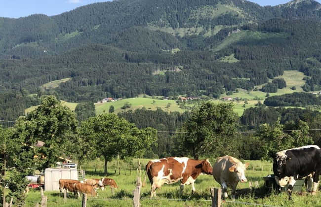 MAX in the Schusterhausl - Foto 17