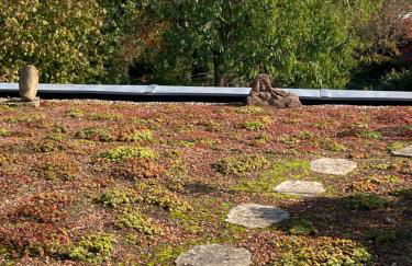 Terrassenwohnung - Foto 12