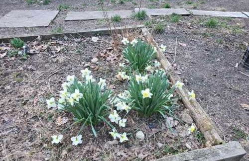 The Happy Place - Foto 49