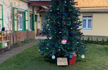 Pension Scheffler - Foto 31