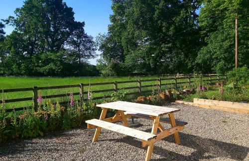 Newtonmill - Tranquillity in Rural Angus - Photo 37